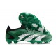 Fotbollsskor adidas Predator Accuarcy.1 L FG Grön Vit