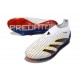 Fotbollsskor adidas Predator Elite LL FG Vit Grå 